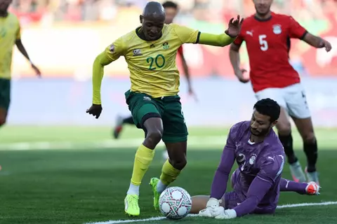 الشناوي: حققنا فوزًا وصدارة مستحقة.. ولم نتأثر بالطرد أمام جنوب أفريقيا